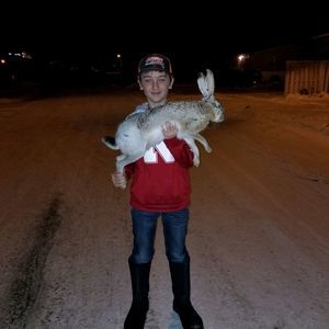 Meet your Posher, Kyler